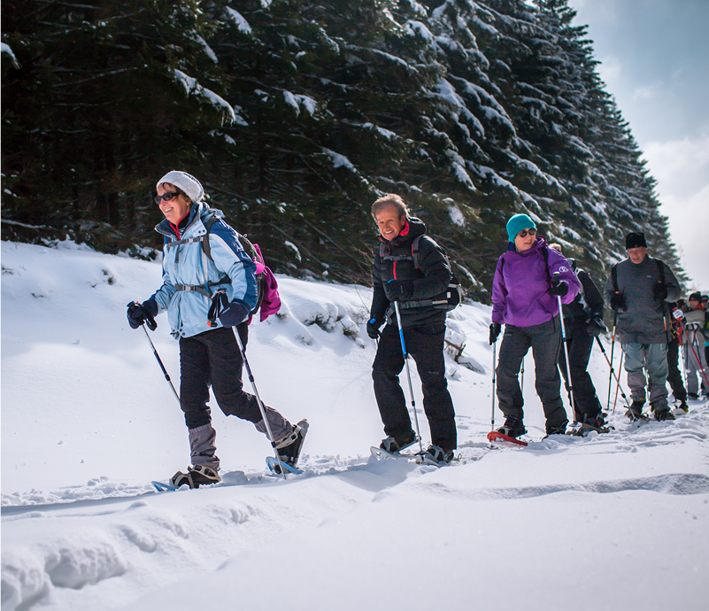 Groupe de randonneurs en raquettes avançant dans la neige à Prabouré.