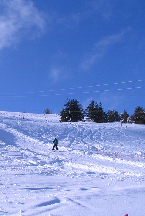 Skieur seul descendant une piste enneigée à Prabouré.